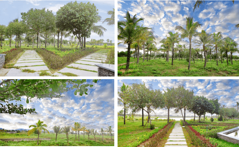 công viên cây xanh tại khu đô thị FPT Đà Nẵng