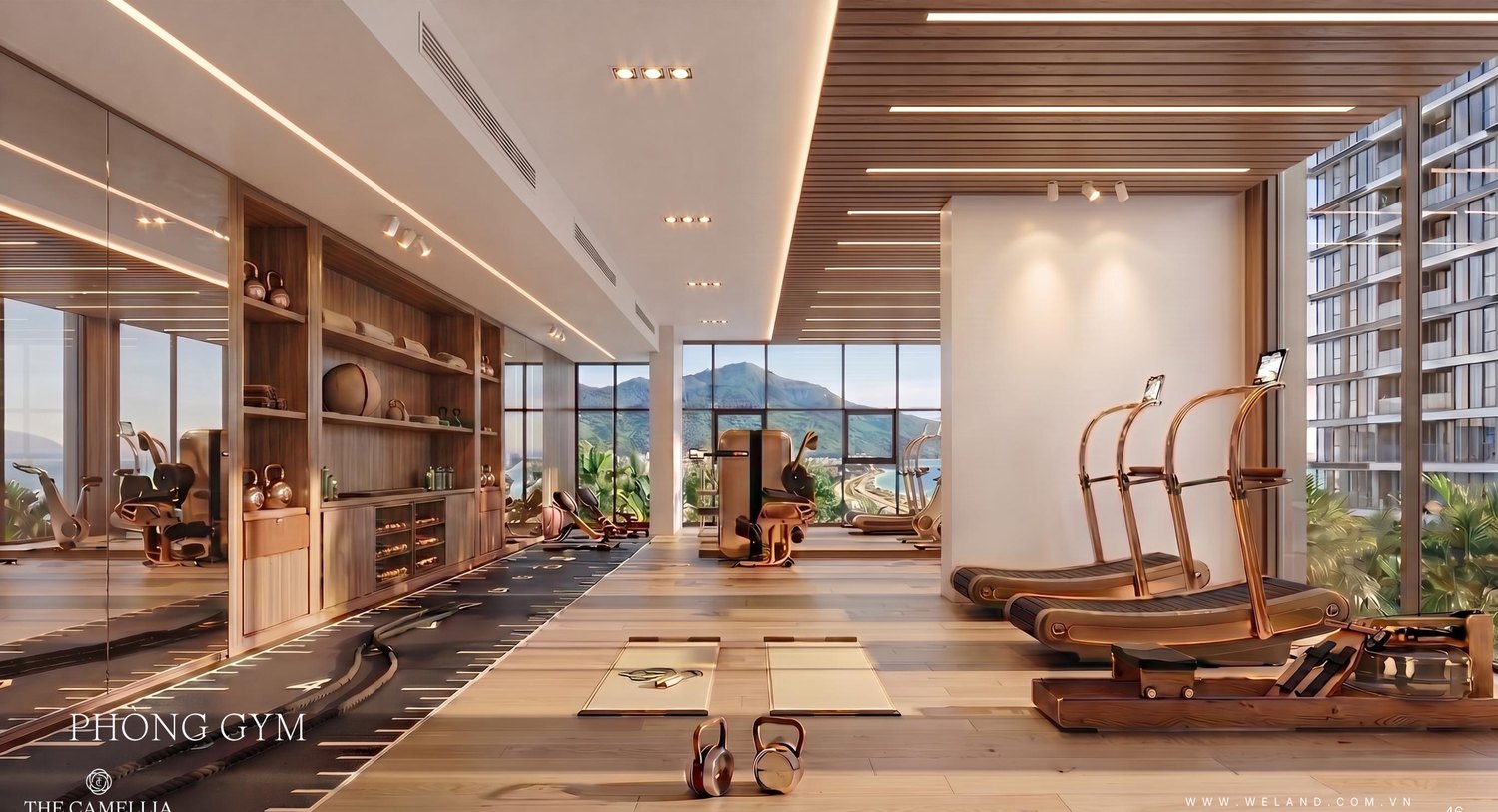 Phòng Gym The Camellia